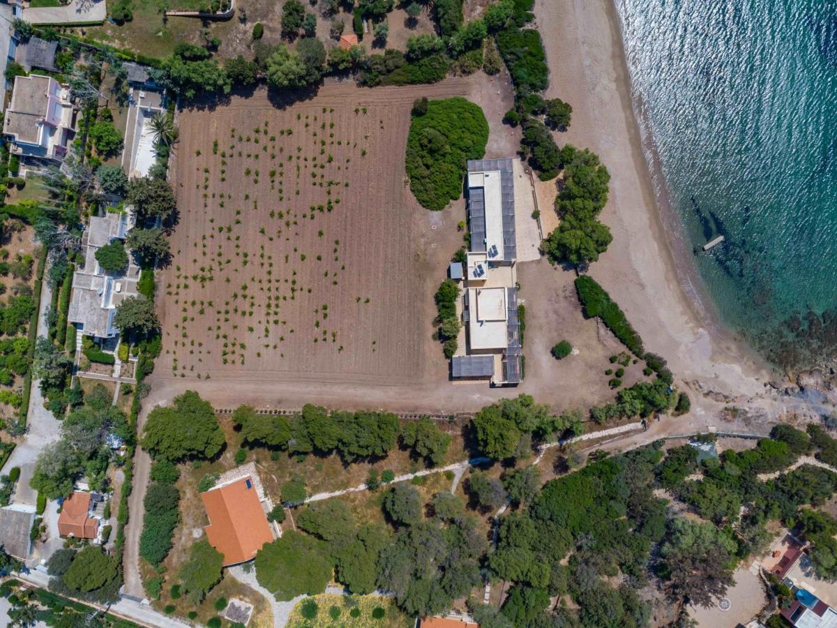 Black Diamond Beachfront Pool Villa Pasithea In Sounio, Athens Соунио Екстериор снимка